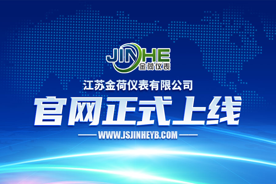 江蘇金荷儀表有限公司官網(wǎng)上線(xiàn)